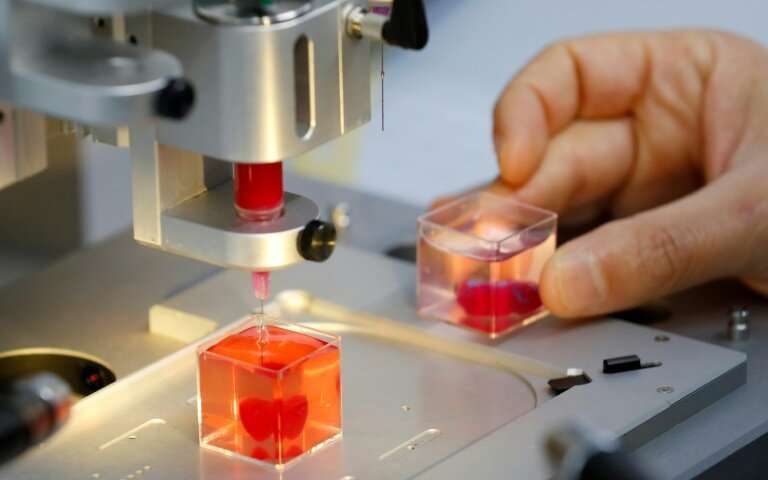 Hastanın Kendi Dokusu Kullanılarak Basılmış, İlk 3D Kalp